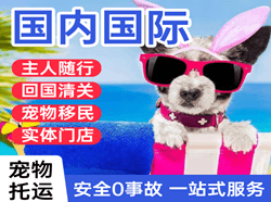 武夷山机场空运国际宠物托运 【国